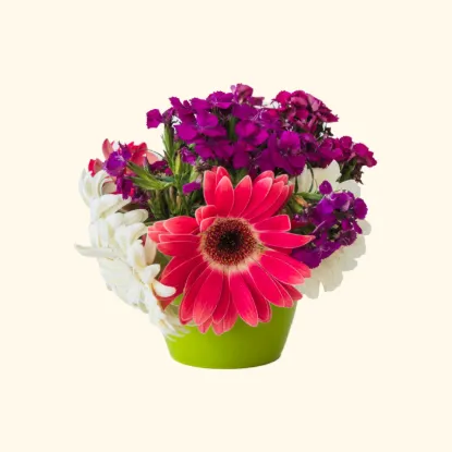 Picture of Bowl of Bright Wishes