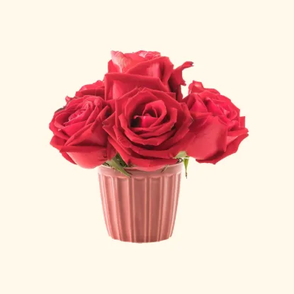 Picture of Red roses