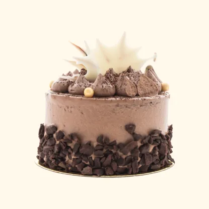 Picture of Gourmet chocolate mud pastry